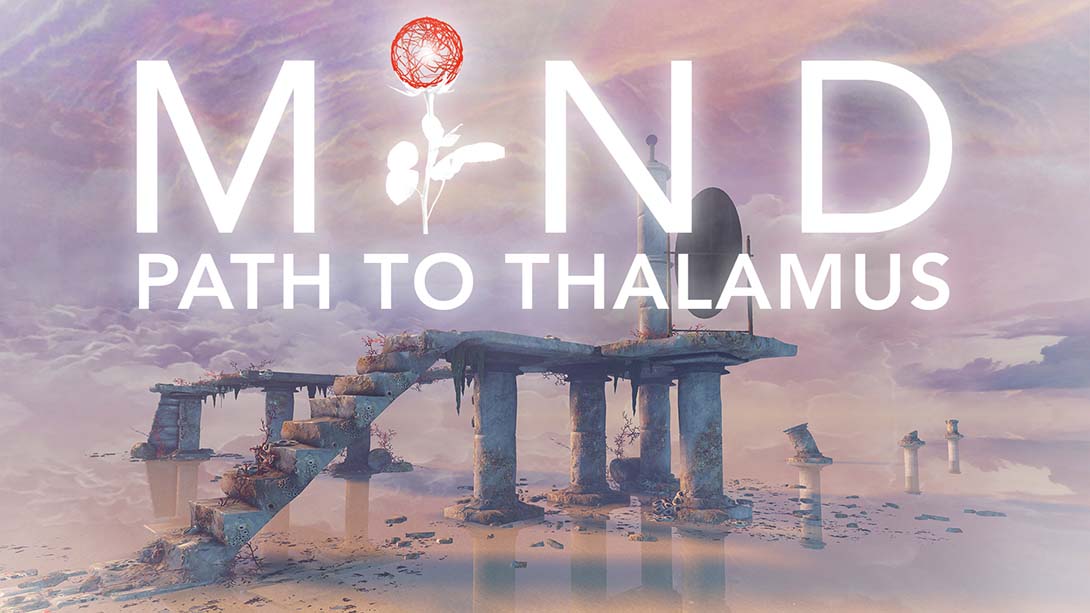 心智：视丘之径 MIND Path to Thalamus