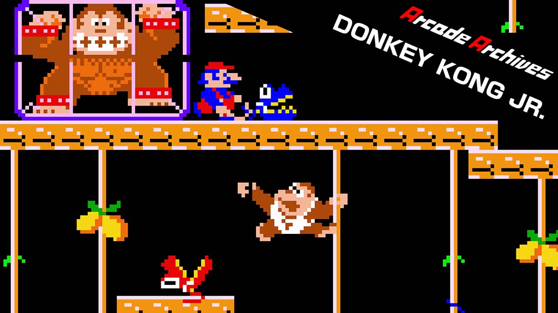 街机档案：小金刚 Arcade Archives DONKEY KONG JR