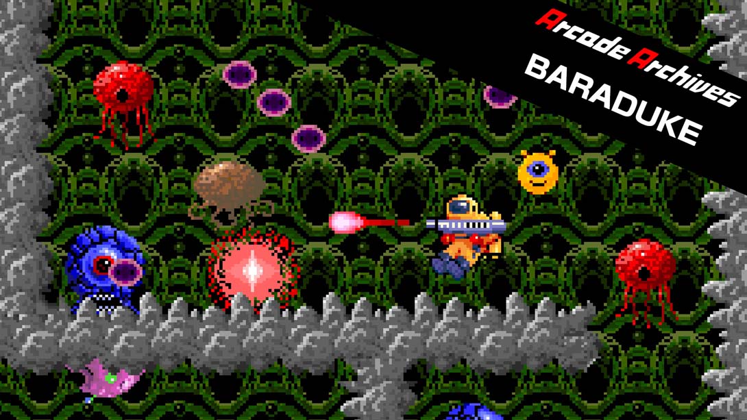 Arcade Archives BARADUKE